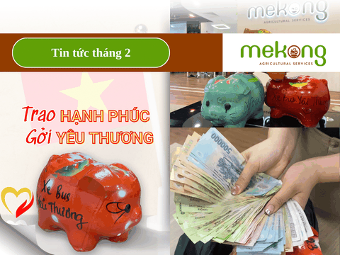 Mekong chung tay nuôi heo đất thiện nguyện, trao hạnh phúc gửi yêu thương