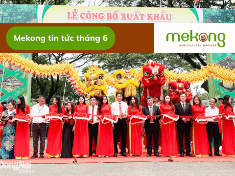 Năm 2023, dự kiến Đồng Nai xuất khẩu 20 ngàn tấn sầu riêng sang Trung Quốc