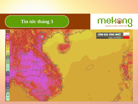 Cảnh báo cao điểm sóng nhiệt vào ngày 5/3/2024