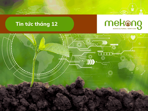 Hành động vì phát triển nông nghiệp bền vững