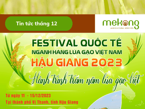 Festival Quốc tế ngành hàng lúa gạo Việt Nam 2023: Hành trình trăm năm lúa gạo Việt
