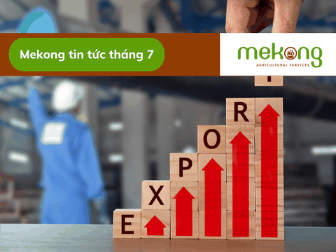 Vượt qua khó khăn, Việt Nam xuất siêu 12,25 tỷ USD trong 6 tháng đầu năm 2023