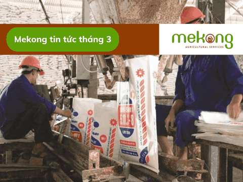 Thị trường phân bón 2023: Những tác động đa chiều