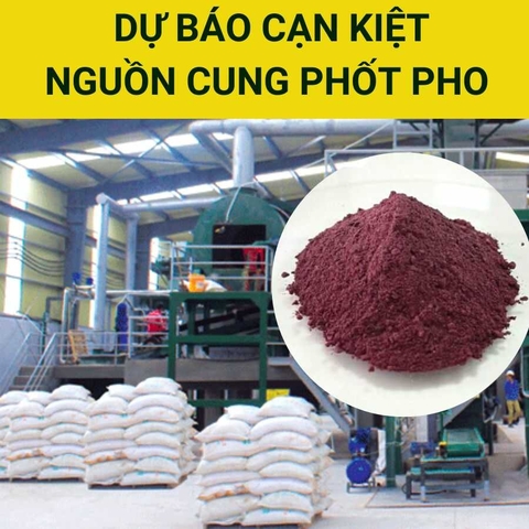 THIẾU HỤT PHỐT PHO - ĐE DỌA NỀN NÔNG NGHIỆP VÀ SẢN XUẤT PHÂN BÓN