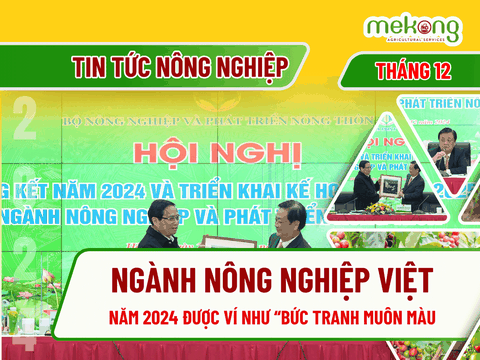 Năm 2024: Ngành nông nghiệp Việt được ví như một “bức tranh muôn màu”