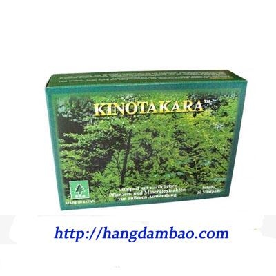 MIẾNG DÁN THẢI ĐỘC KINOTAKARA