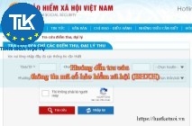 TẠM THU BHXH BẮT BUỘC NGƯỜI NƯỚC NGOÀI