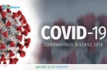 HƯỚNG DẪN THỰC HIỆN VỀ CHI PHÍ ĐƯỢC TRỪ KHI XÁC ĐỊNH THU NHẬP CHỊU THUẾ THU NHẬP DOANH NGHIỆP ĐỐI VỚI KHOẢN CHI ỦNG HỘ, TÀI TRỢ CỦA DOANH NGHIỆP, TỔ CHỨC CHO CÁC HOẠT ĐỘNG PHÒNG, CHỐNG DỊCH COVID-19