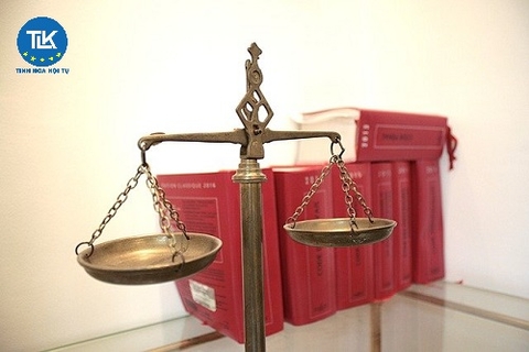 VIỆC GIÁM ĐỊNH LẠI ĐƯỢC TIẾN HÀNH TRONG TRƯỜNG HỢP NÀO?