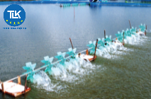 THỦ TỤC CẤP GIẤY PHÉP KHAI THÁC, SỬ DỤNG NƯỚC BIỂN CHO MỤC ĐÍCH SẢN XUẤT, KINH DOANH, DỊCH VỤ VỚI LƯU LƯỢNG TỪ 100.000 M3/NGÀY ĐÊM TRỞ LÊN