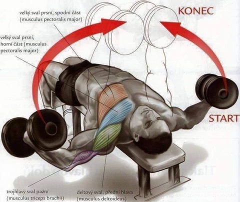 Các bài tập cơ ngực hiệu quả nhất