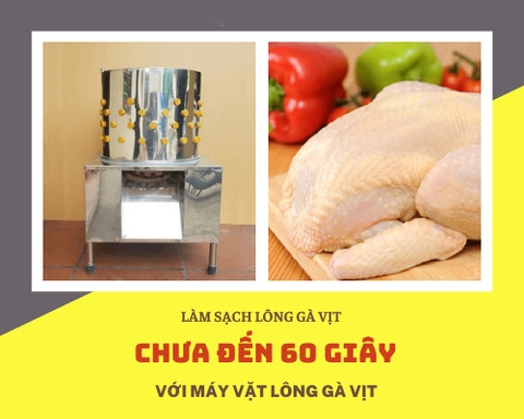 Làm Sạch Lông Gà Vịt Chưa Đến 60 Giây Với Máy Nhổ Lông Gà Vịt