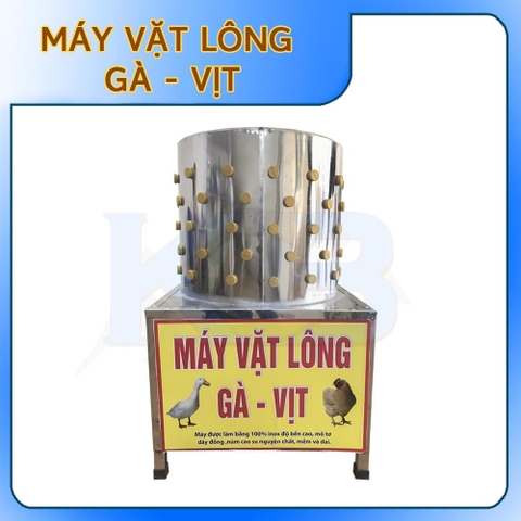 Máy vặt lông gà, vịt phi 50