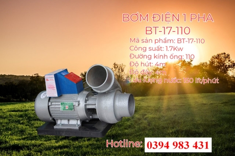 BƠM ĐIỆN 1 PHA 1.7KW - 110