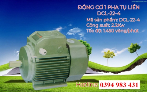 ĐỘNG CƠ ĐIỆN 1 PHA TỤ LIỀN 2.2-4