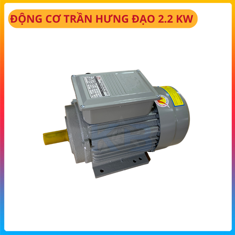 Động cơ điện 1 Pha Trần Hưng Đạo ST - S4 (2.2KW)