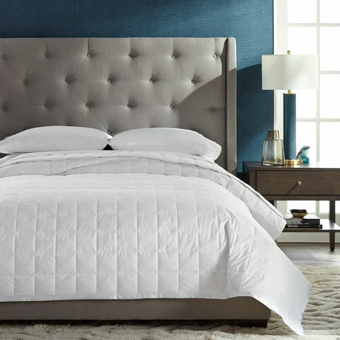 Ruột Chăn bông nguyên sinh Hàn Quốc RC01 Đệm Việt Pháp