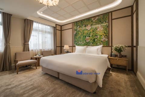 Bộ chăn ga gối trắng trơn 50% cotton T200 VP200T  Đệm Việt Pháp
