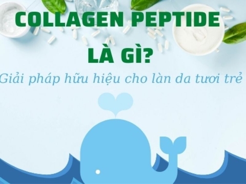 Collagen Peptide - Bí quyết của làn da thanh xuân rạng ngời