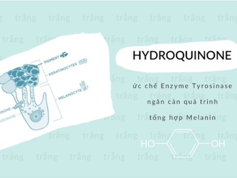 Những điều bạn chưa biết về Hydroquinone