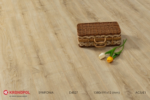  - Sàn gỗ Kronopol D4527 12mm