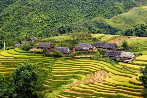 HẢI PHÒNG - LÀO CAI - SAPA