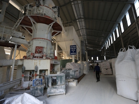 The pictures of company