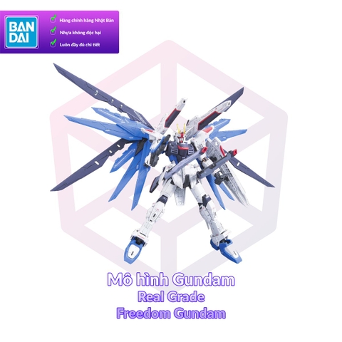 Mô hình Gundam Bandai RG 05 Freedom Gundam 1/144 SEED [GDB] [BRG]