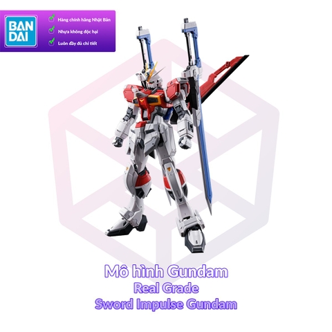Mô Hình Gundam P-Bandai RG Sword Impulse Gundam 1/144 Gundam SEED Destiny [GDB] [BRG]