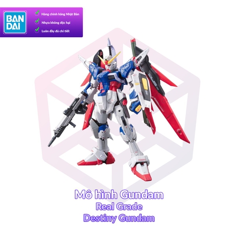 Mô hình Gundam Bandai RG 11 Destiny Gundam 1/144 SEED Destiny [GDB] [BRG]