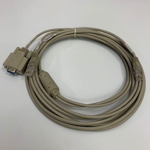 Cáp Điều Khiển DS-29913-004 Console Serial Rj45 to DB9 Female and RJ45 Length 5M