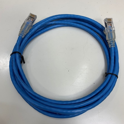 Dây Nhẩy AMP CAT5E U/UTP PVC UL CM 1-1859239-0 Ethernet Gigabit Lan Network Patch Cord Straight Through Cable E138034 24AWG OD Ø 5.5mm 75°C Blue Length 3M