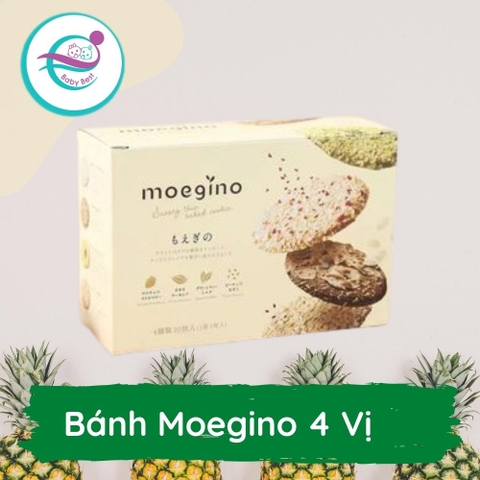 Bánh Moegino 4 vị 20 cái