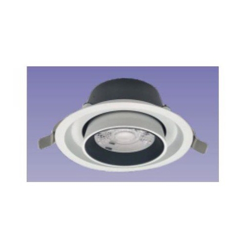 ĐÈN LED DOWNLIGHT CHIẾU ĐIỂM 30W (DFC1304)