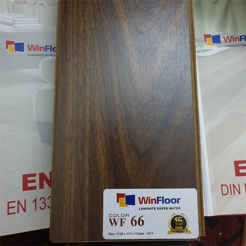 Sàn gỗ Winfloor WF66