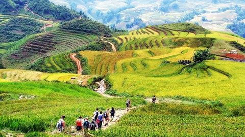 SAPA TREKKING TOURS 2 days/1 ngihts