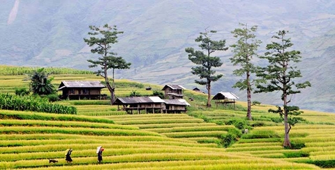 8 DAYS OF VACATION - NORTH VIETNAM HIGHLIGHT TOUR (V81)