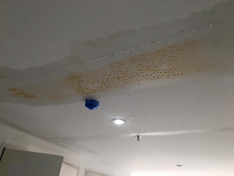 ATH Tư Vấn Chống Thấm Trần Nhà Chung Cư Hiệu Quả, Triệt Để Nhất