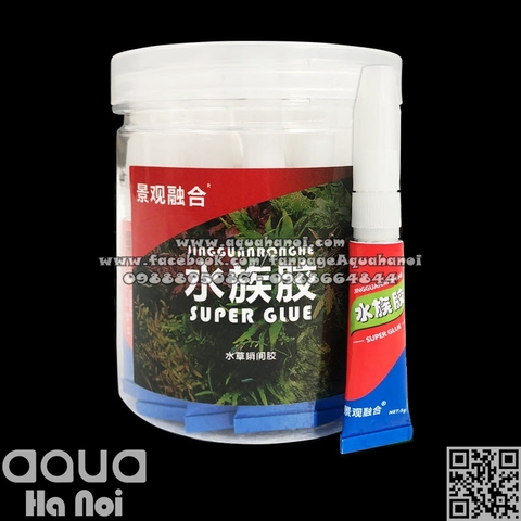 Keo chuyên dụng dán cây rêu ráy bucep thủy sinh, cây không khí Jingguanronghe - siêu chắc, an toàn cá tép