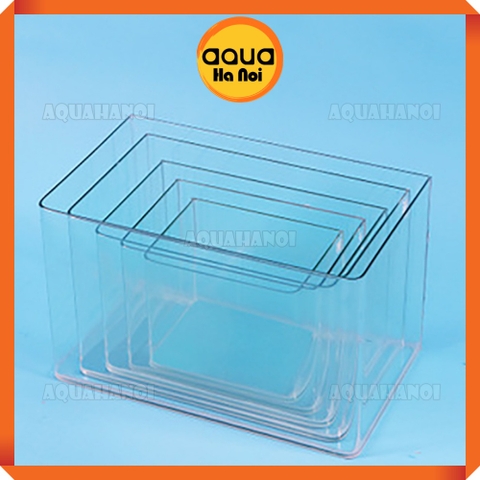 Bể kính ĐÚC siêu trong - Hồ cá cảnh thủy sinh dán dấu keo, mài vi tính - 22x15x17 cm