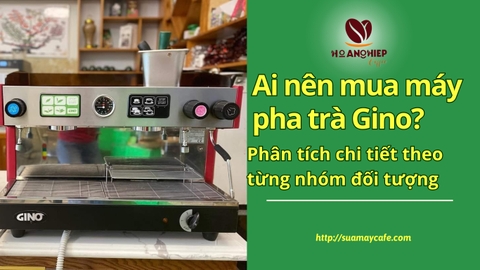 Ai nên mua máy pha trà Gino? Phân tích chi tiết theo từng nhóm đối tượng