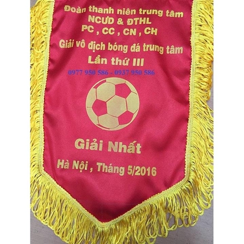 Cờ giải thưởng mẫu 2