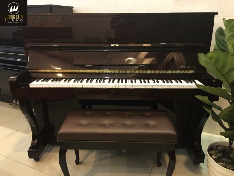piano Schnabel giá rẻ