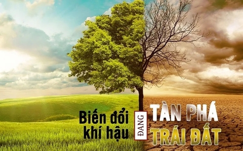 Biến đổi khí hậu