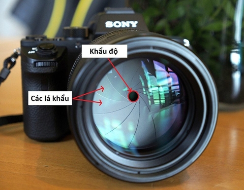Khẩu độ ống kính máy ảnh là gì? Ý nghĩa của khẩu độ máy ảnh có thể bạn chưa biết