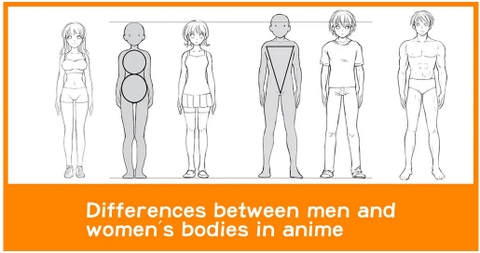 Sự khác biệt giữa cơ thể nam và nữ trong anime
