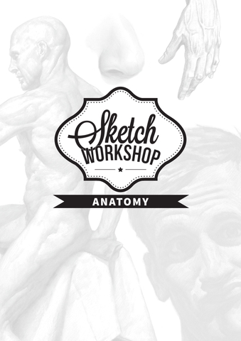 Sketch Workshop: Anatomy