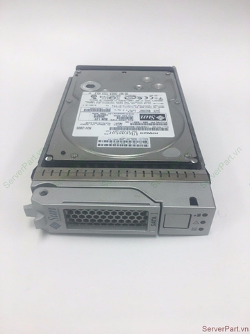 17186 Ổ cứng HDD SATA SAS SUN Oracle 1TB 7.2K 3.5