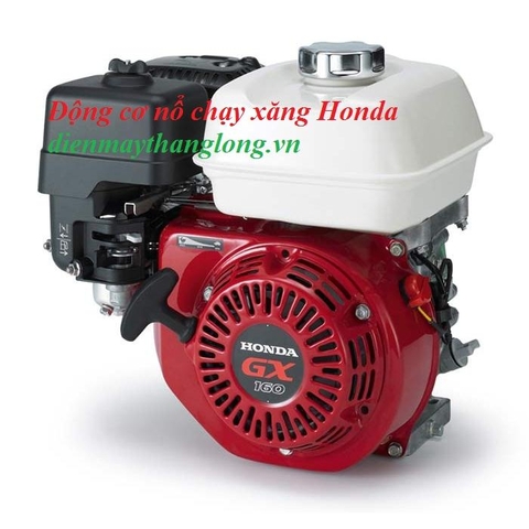 Động cơ nổ Honda GX160T2QM