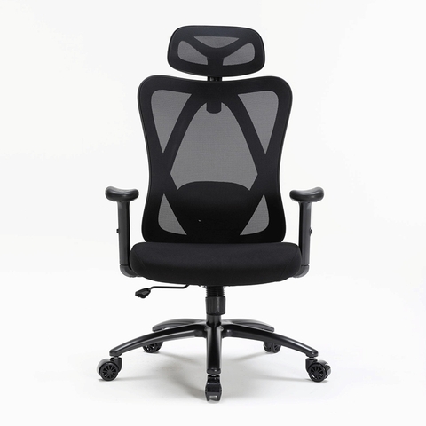 GHẾ CÔNG THÁI HỌC WARRIOR ERGONOMIC WEC501 BLACK